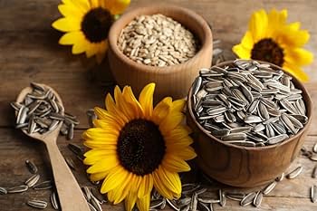 Sunflower Seed - Premium quality